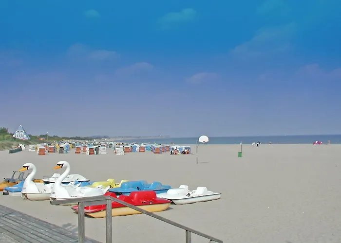 Blockhaus Mit Grosser Ueberdachter Terrasse * Damp